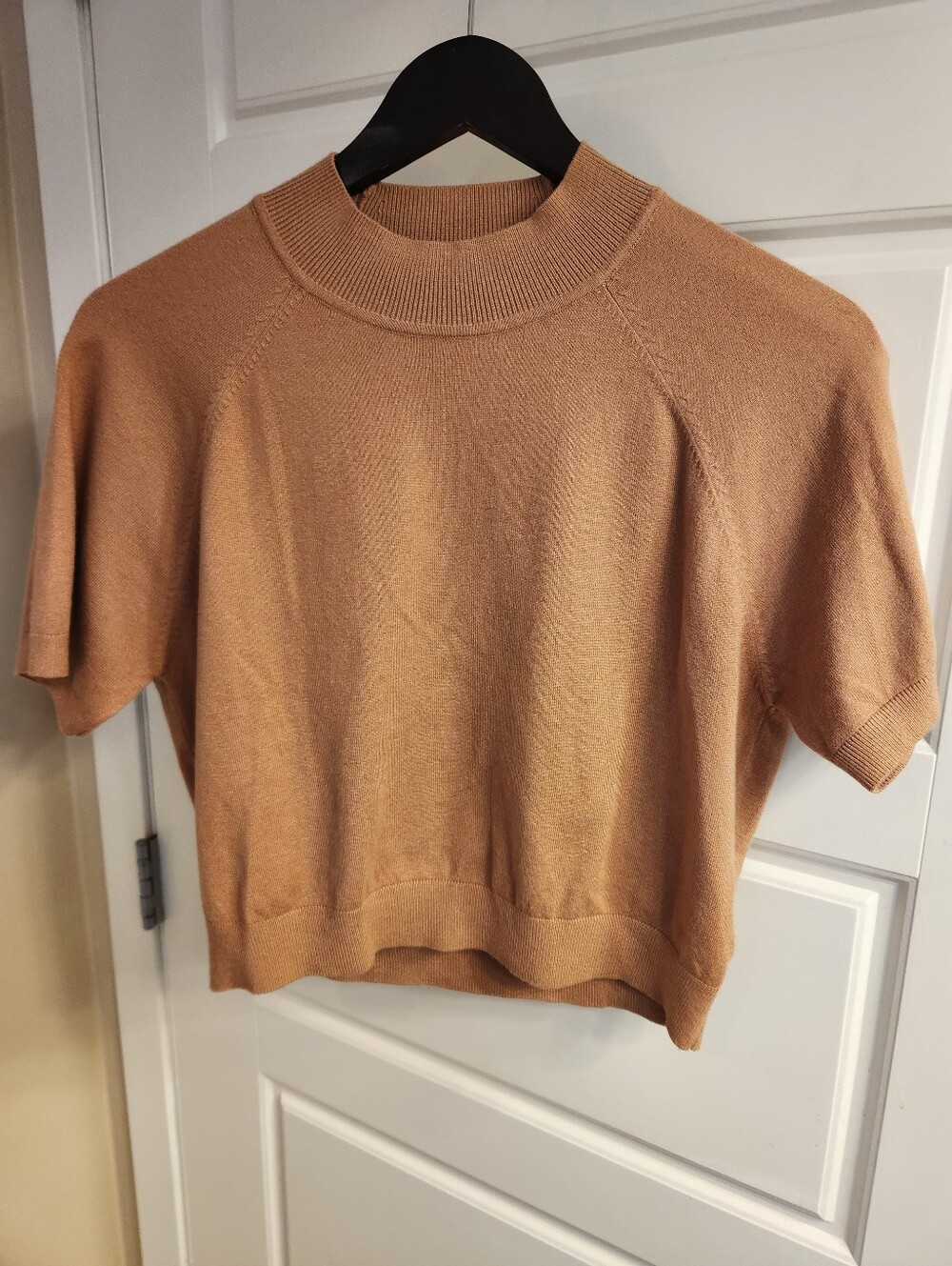 ASTR Short-Sleeve Knit Top in Camel
